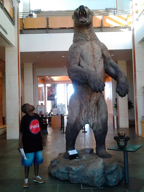 Imagina encontrar com um urso desse tamanho